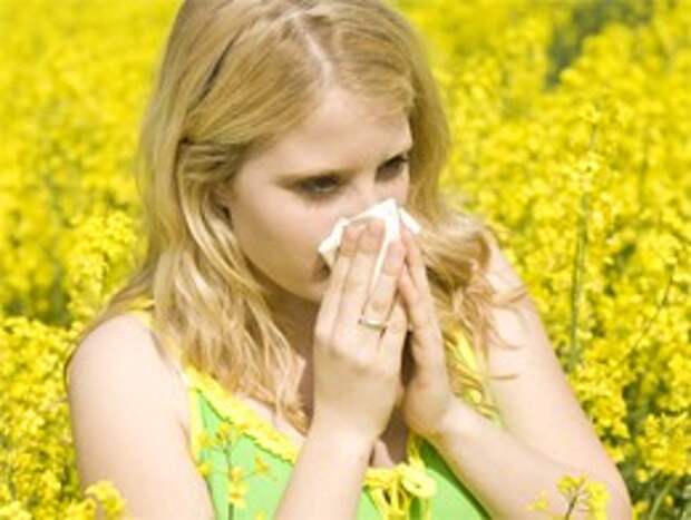 Как пережить аллергию на пыльцу деревьев