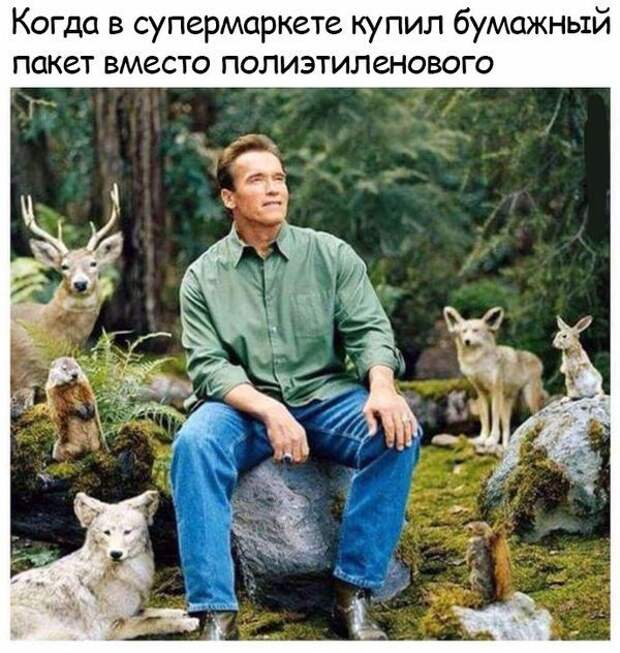 Картинки, фотографии и веселые приколы для настроения (10 фото) Картинки, фотографии и веселые приколы для настроения (10 фото)