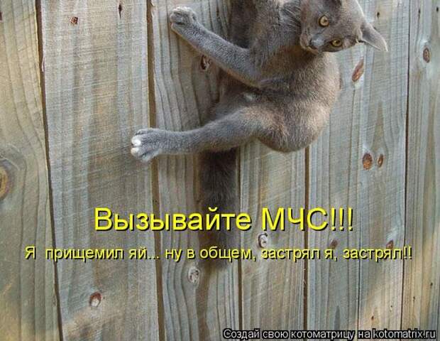 Мысли вслух :)