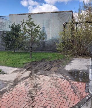 автохам.jpg