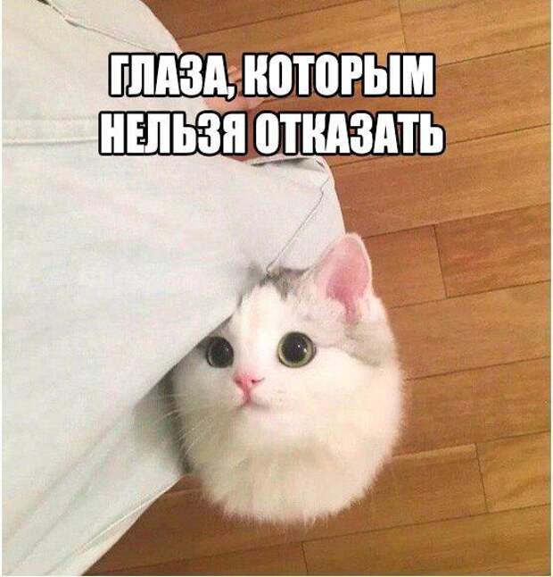 Прикольные картинки с надписями для настроения (10 фото) Прикольные картинки с надписями для настроения (10 фото)