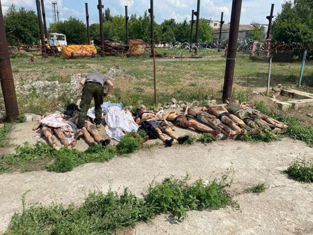 ГУР МОУ и уничтожение украинских военнопленных в Еленовке