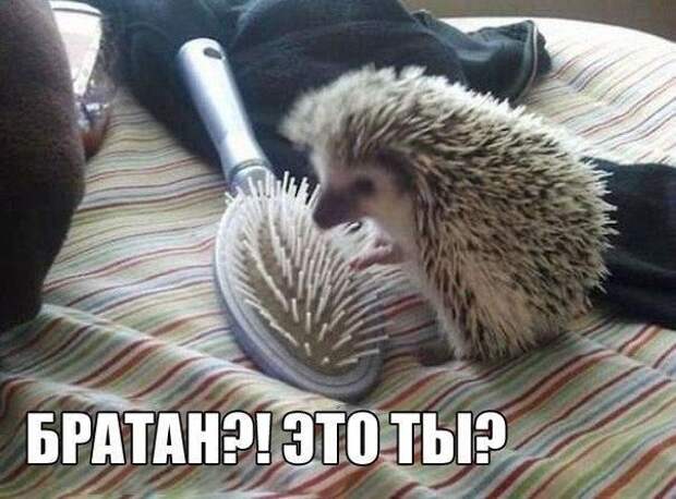 hmn7UbZF2gE