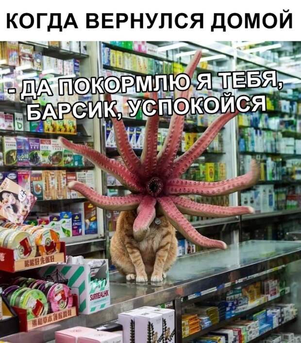 www.vsyako.net
