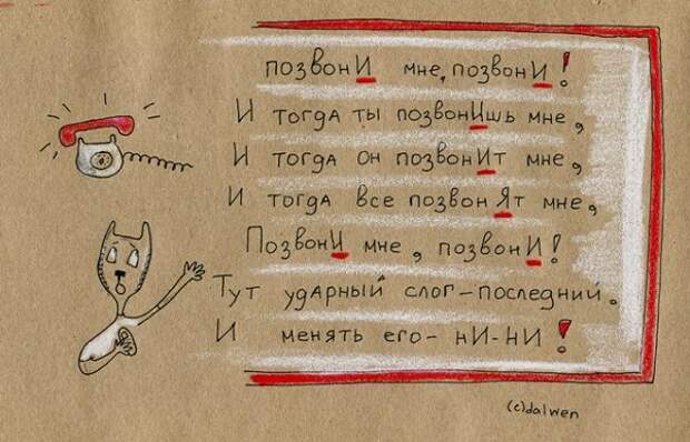 правила русского языка в котах