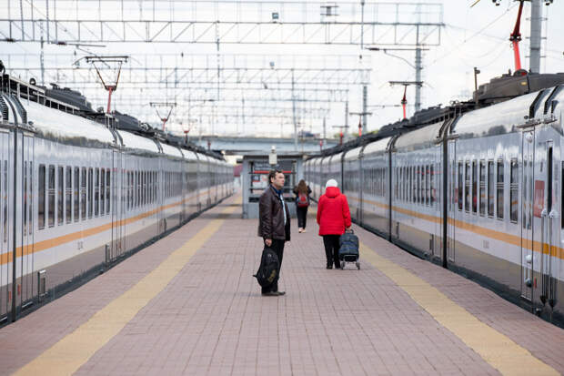 В Тульской области произошли 13 несчастных случаев на железной дороге в 2025 году