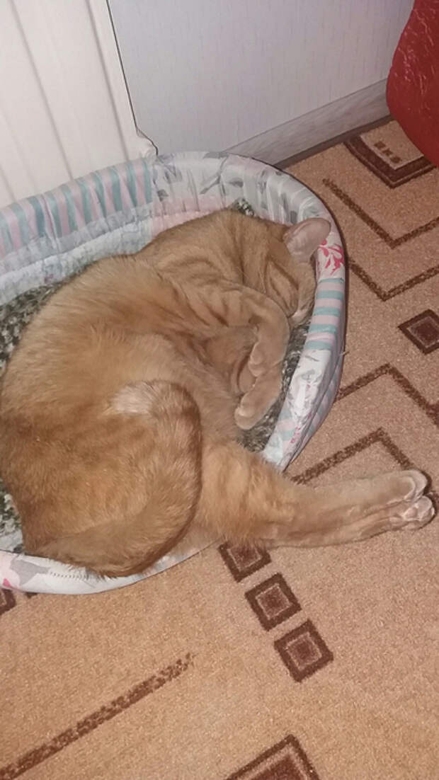 cBsNUN4N82M (393x700, 263Kb)