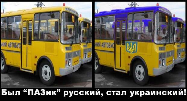 Украина сменила гражданство школьным «Пазикам», пришлось купить автобусы у «агрессора»