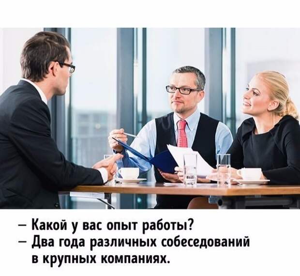 Забавные случаи на собеседованиях, которые могут случиться с каждым Забавные случаи на собеседованиях, которые могут случиться с каждым прикол, работа, собеседование, юмор