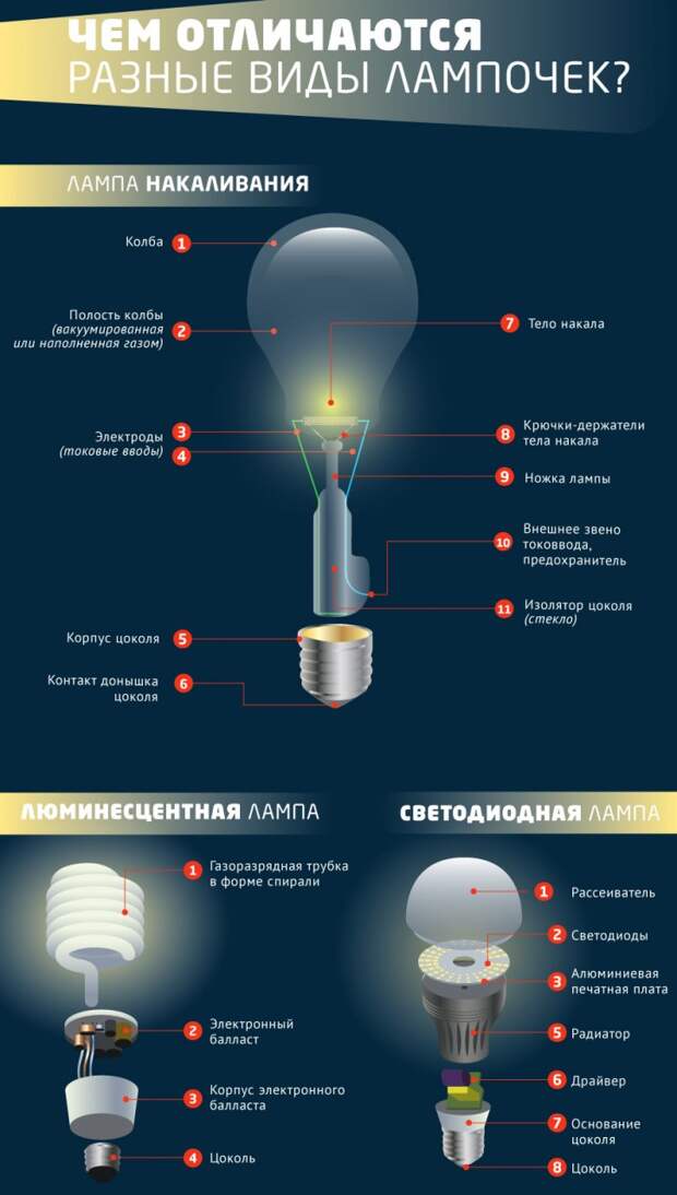 Виды лампочек проект