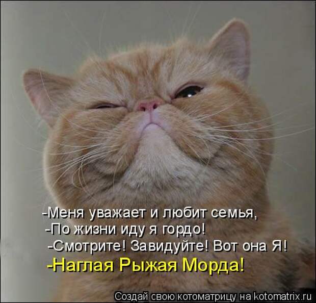 Котоматрица: -Меня уважает и любит семья,  -По жизни иду я гордо!  -Смотрите! Завидуйте! Вот она Я!  -Наглая Рыжая Морда!