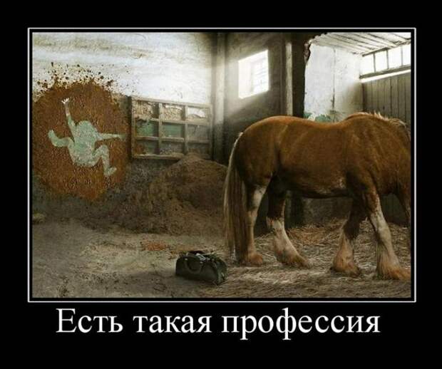 Демотиваторы
