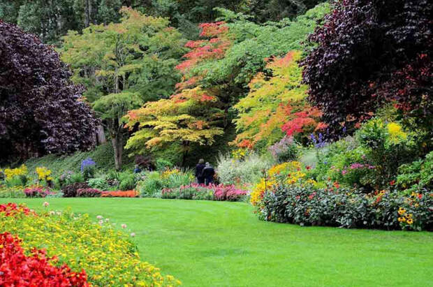 Butchart-Gardens-9-1 (700x464, 432Kb)