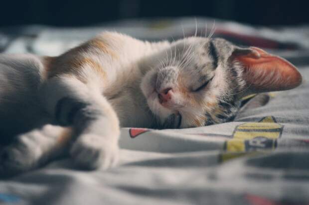wakeup