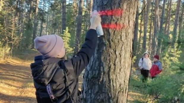 Экотропа в селе Костин Лог / Фото: 