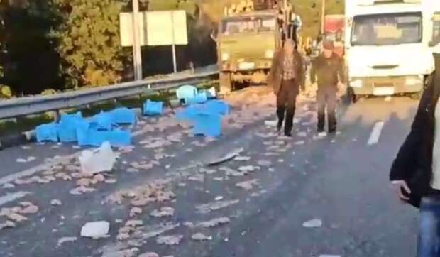 Куры по всей трассе: в Житомирской области произошло ДТП с 3 фурами