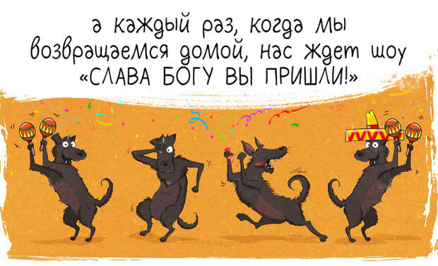 Вот как меняется ваша жизнь, если взять собаку из приюта