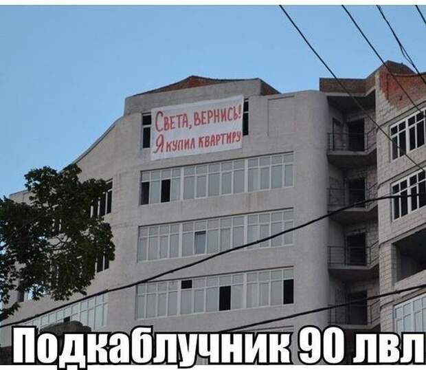 О подкаблучниках и женщинах, привыкших доминировать (14 фото)