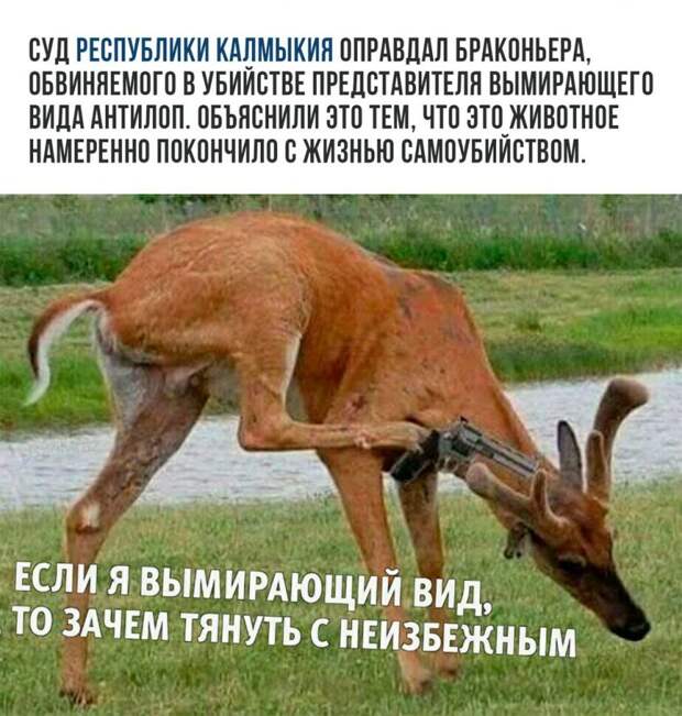 Лучшие хохотушки. Смех на всю неделю