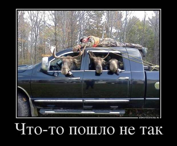 Демотиваторы-приколюхи (23 шт)