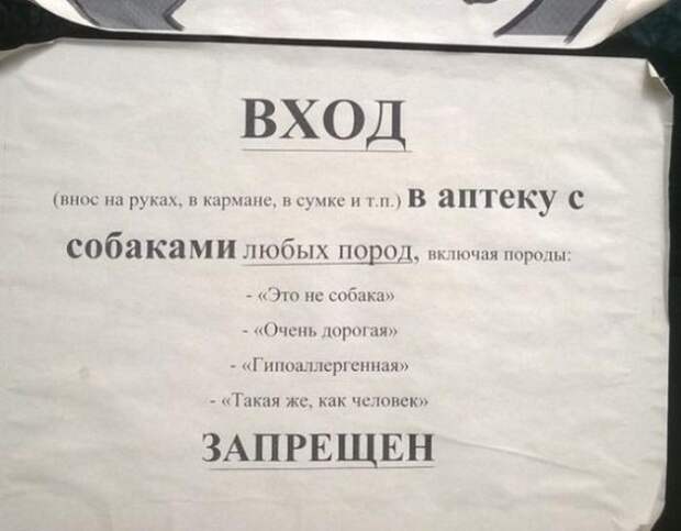Креативные объявления! история, люди, приколы, фото, юмор