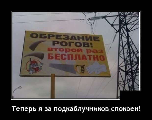 Демотиваторы 18 ноября 2020