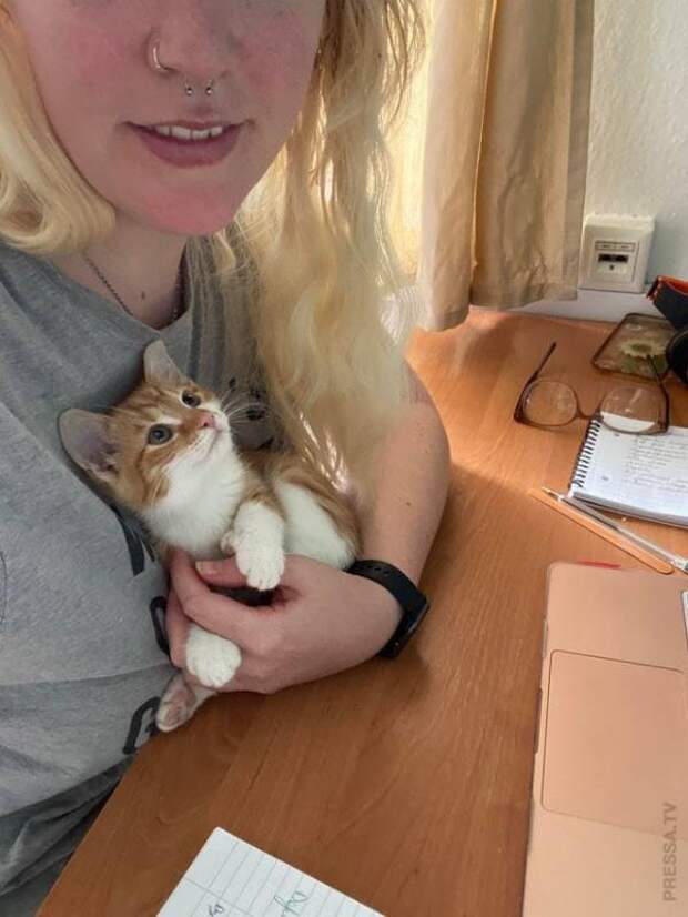 Домашние питомцы, которые очень любят своих хозяев