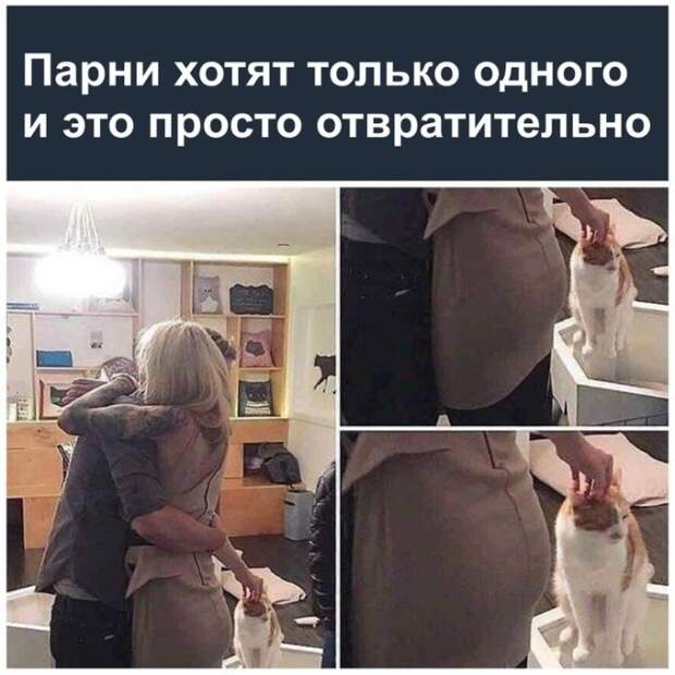 Прикольные картинки абавсём:D