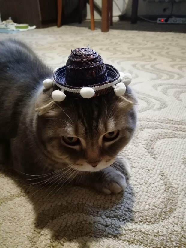 3JLFAcgLp_Y (525x700, 300Kb)