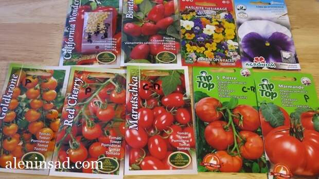 сорта томатов, перец, виола, для посева в феврале и марте, семена, аленин сад