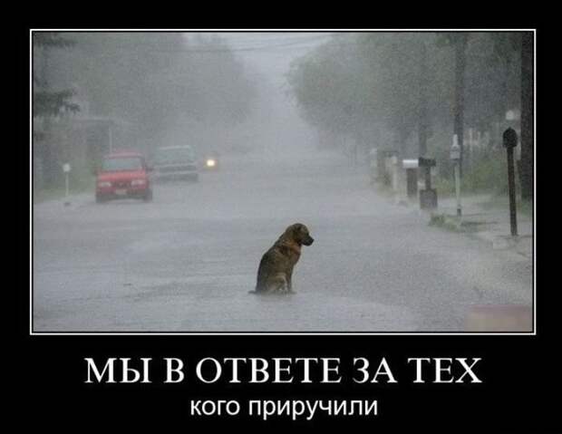 Демотиваторы на четверг (30 фото) Демотиваторы на четверг (30 фото)