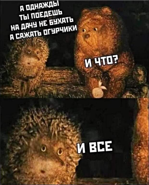 Картинки с надписями и анекдоты