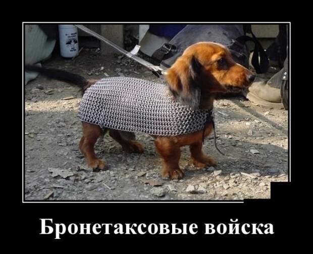 Демотиваторы (30 фото)