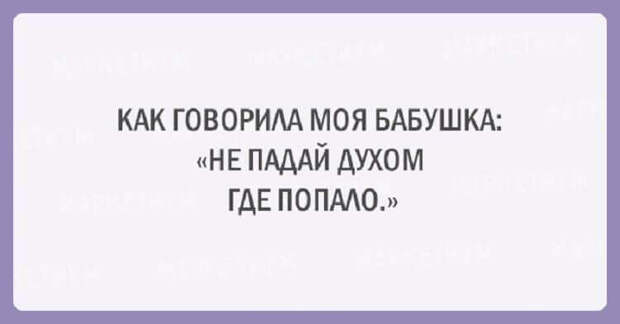 20 забавных открыток с мудростью от бабушек