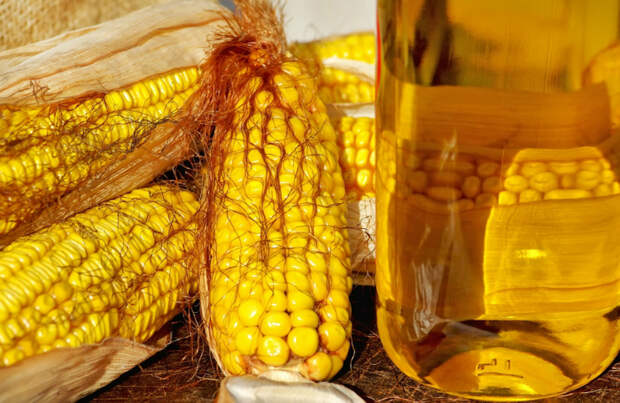 свойства кукурузного масла