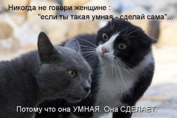 oVJFlQK6QZw (599x399, 36Kb)