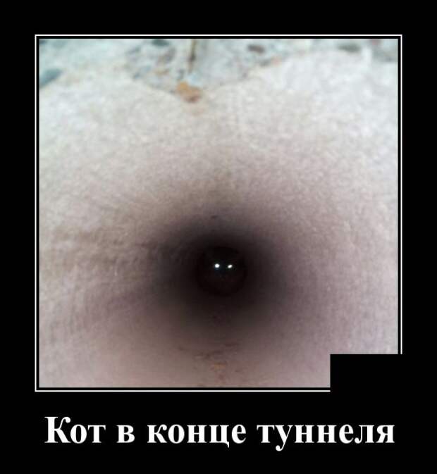 Демотиваторы (30 фото)