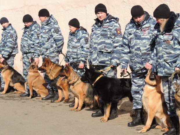 Фото: Пресс-служба УВД по ЮВАО