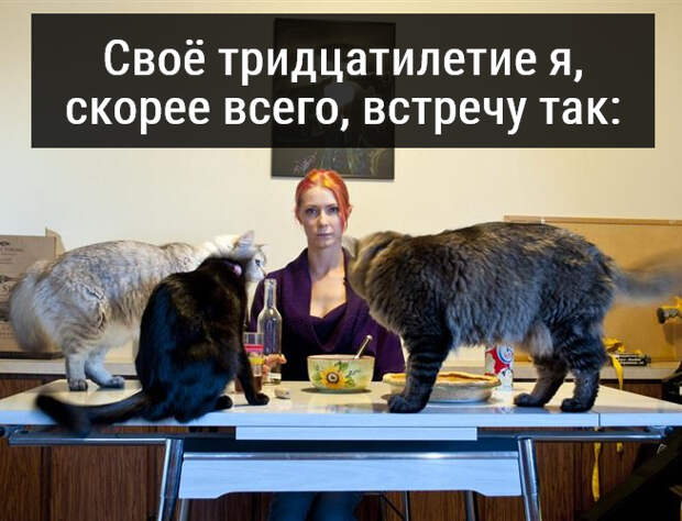 изображение: Своё тридцатилетие я, скорее всего, встречу так: #Котоматрицы