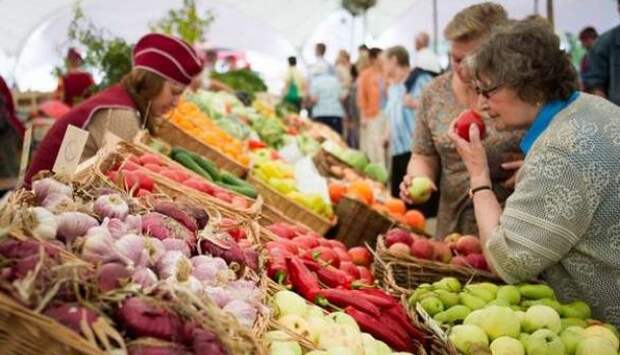 Российские экспортеры продуктов заработали на санкциях: их выручка выросла втрое за четыре года | Продолжение проекта «Русская Весна»
