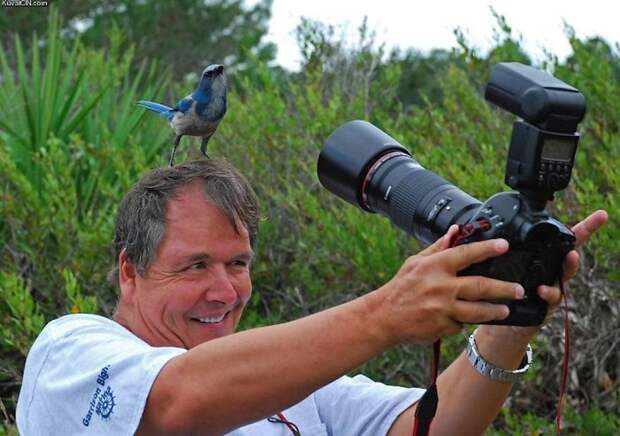 Правильный угол, освещение, перспектива: на что идут фотографы, чтобы сделать идеальный снимок