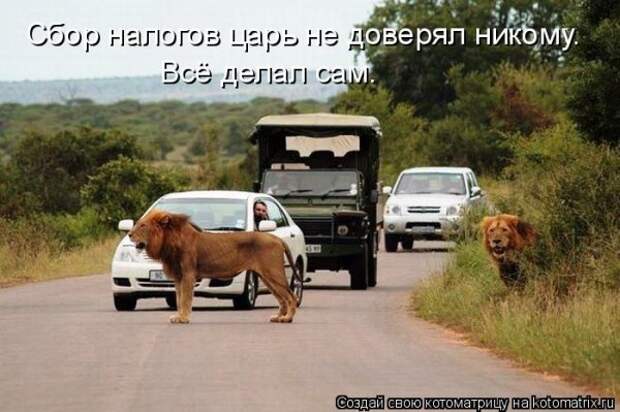 Мысли вслух :)