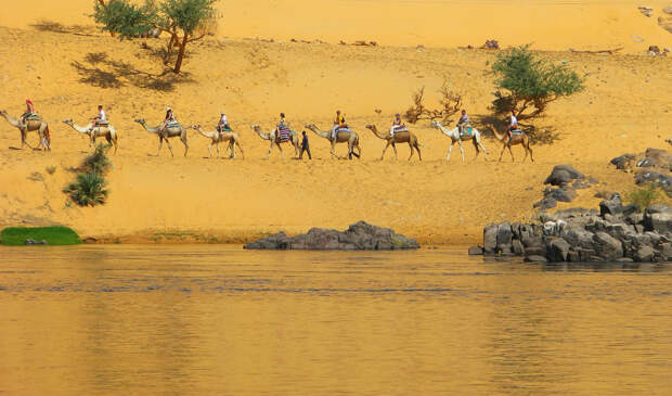 тип питания