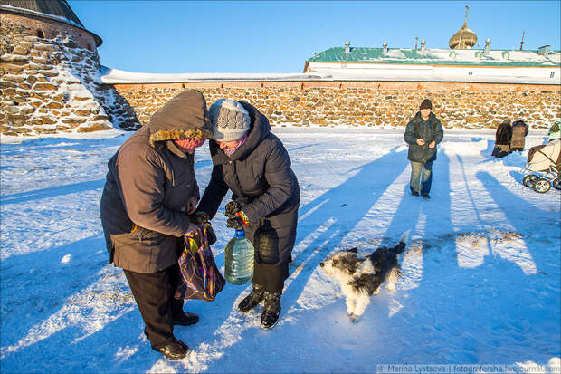 Соловки, крещение Соловки, крещение