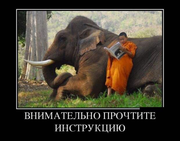 Демотиваторы Демотиваторы