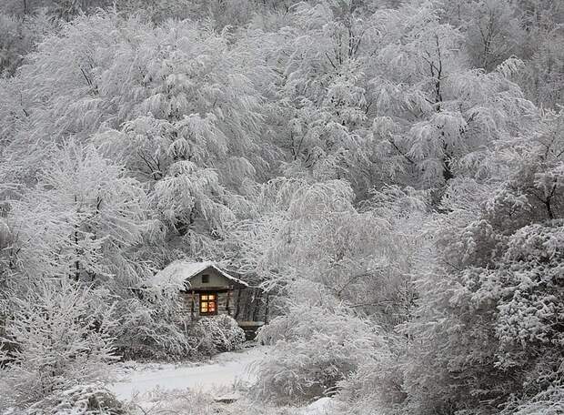 Маленькие одинокие дома одиноких людей lonelyhouses05 Маленькие одинокие дома одиноких людей