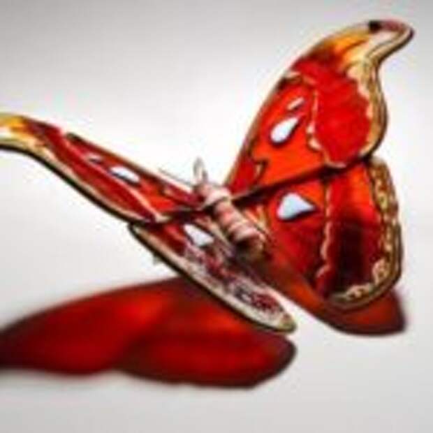 Стеклянные бабочки Лауры Харт