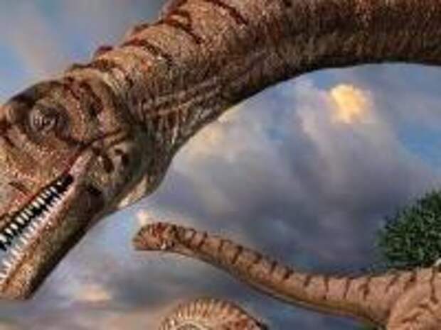 Какими могли быть динозавры? Мозг под хвостом, солнечная батарея и другие странные теории палеонтологов