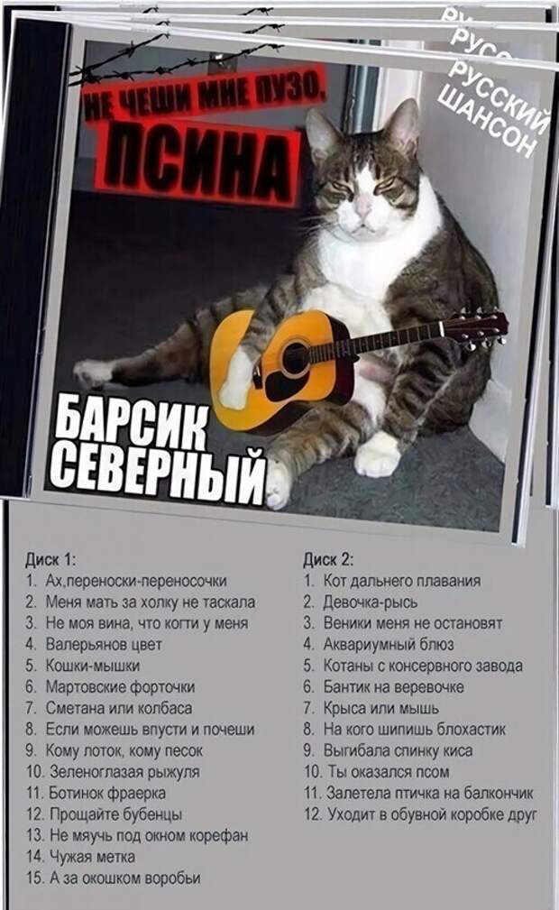 Подборка замечательных весёлых картинок