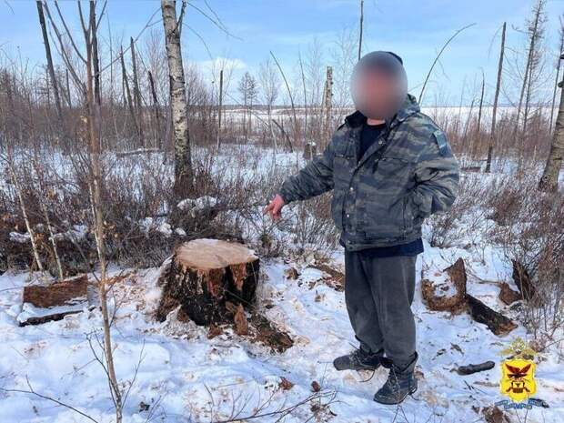 Забайкальцы нарубили дров на один миллион рублей